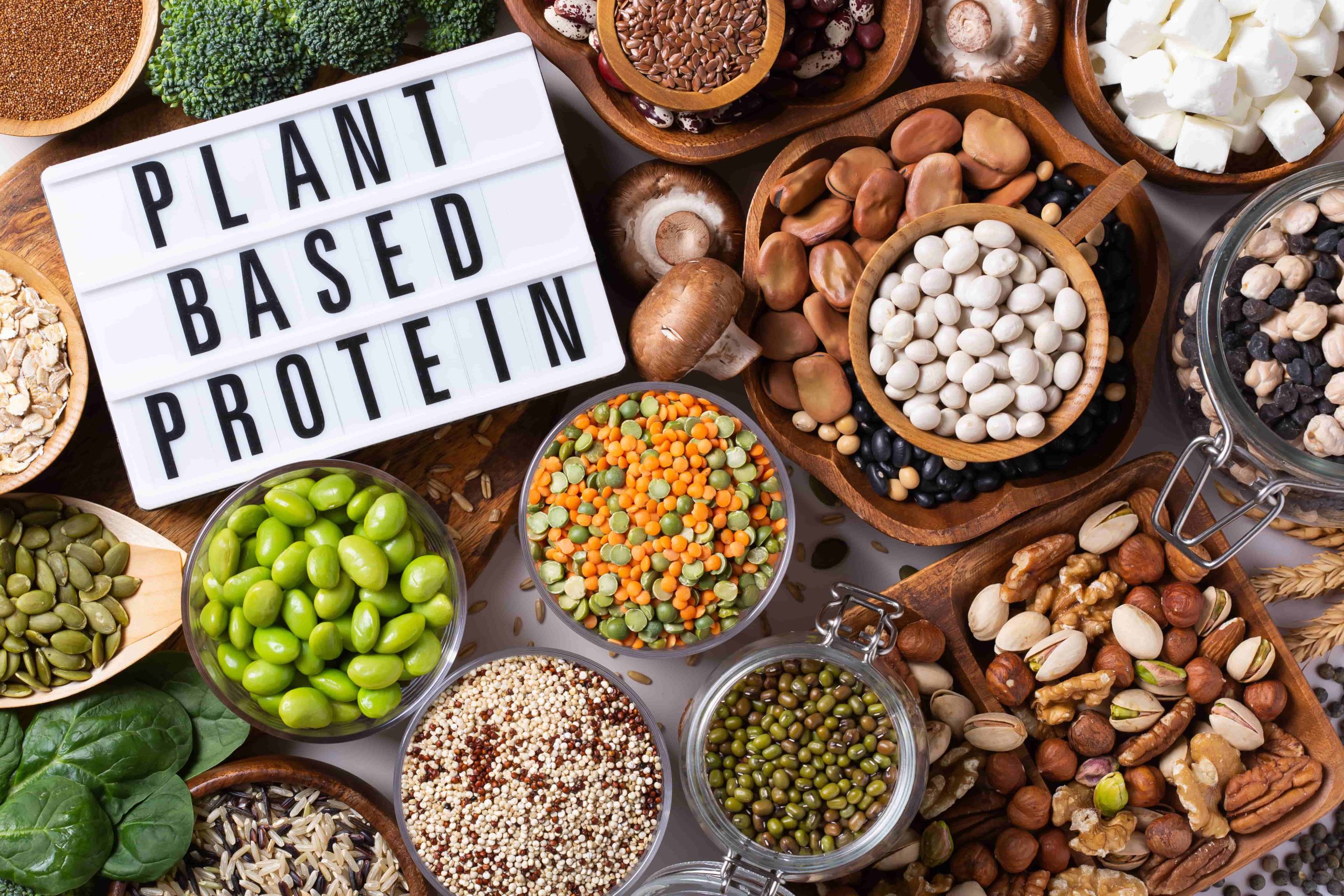 Sources of plant protein with sign board.